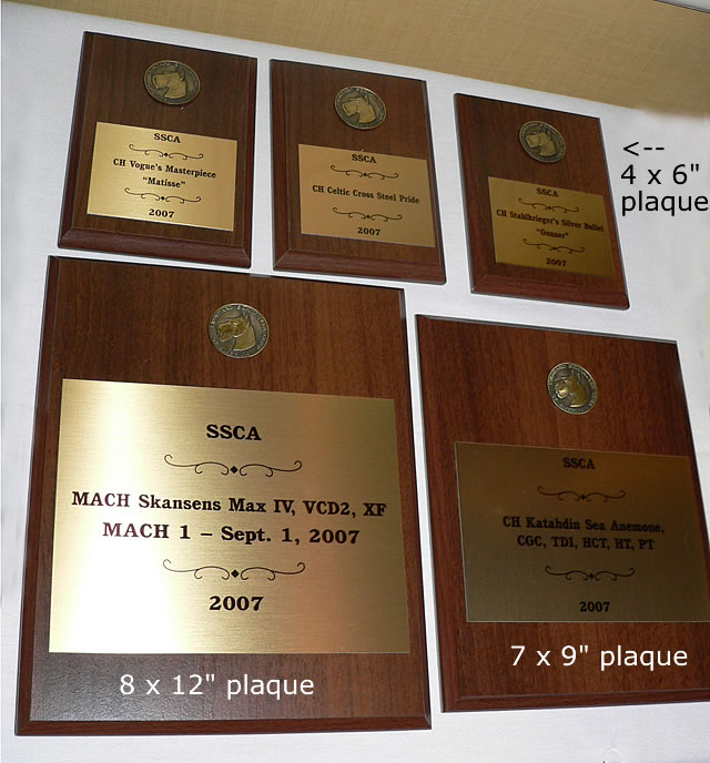 SSCA plaques